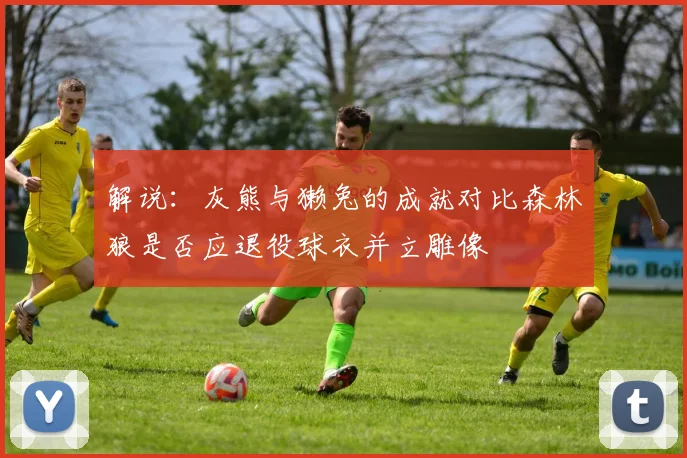 解说：灰熊与獭兔的成就对比森林狼是否应退役球衣并立雕像